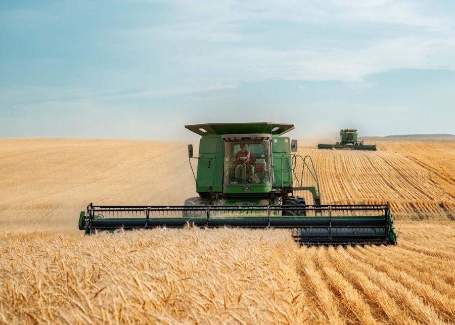 Colheitadeiras John Deere em ação no trigo